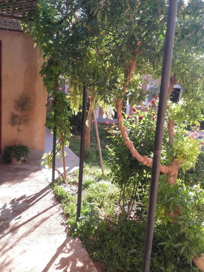 Auberge Toda Aït Igad エクステリア 写真