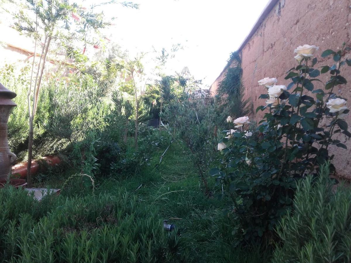Auberge Toda Aït Igad エクステリア 写真